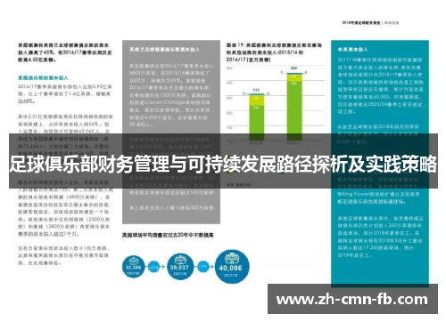足球俱乐部财务管理与可持续发展路径探析及实践策略