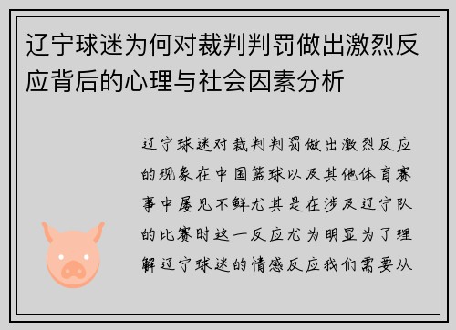 辽宁球迷为何对裁判判罚做出激烈反应背后的心理与社会因素分析