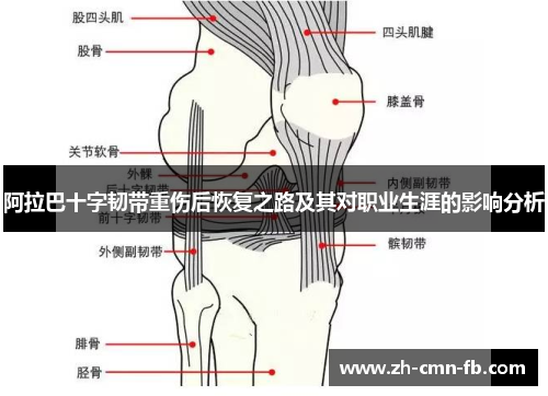 阿拉巴十字韧带重伤后恢复之路及其对职业生涯的影响分析